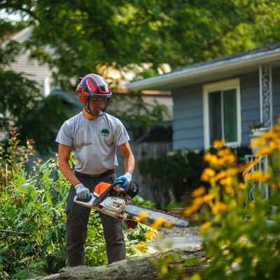 Brandenberger Tree Care Professionals