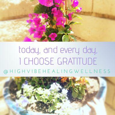 Follow High Vibe Healing on instagram and facebook @highvibehealingwellness