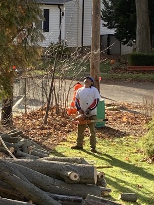 Turner Tree Service