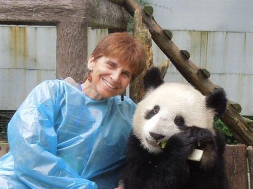 Panda Volunteer Tours