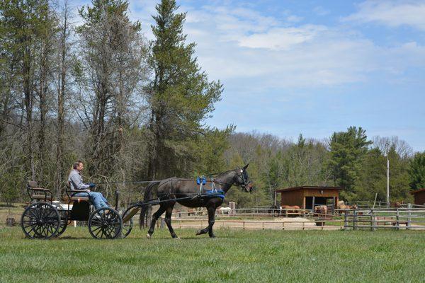 Boardman Valley Stables