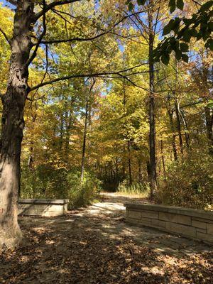 Benches in off the maple trail