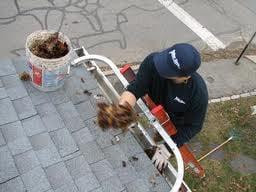 Gutter Cleaning