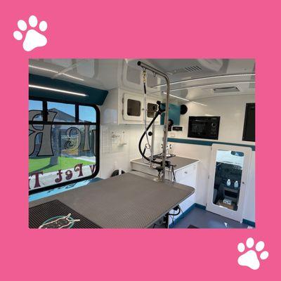 Beautiful inviting accommodations  and certified compassionate groomers for your precious pet.