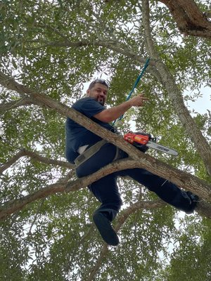 Me climbing out on a limb for you.