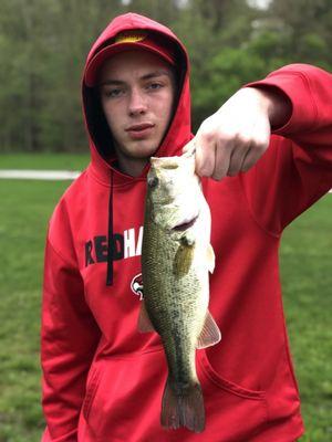 Largemouth Bass