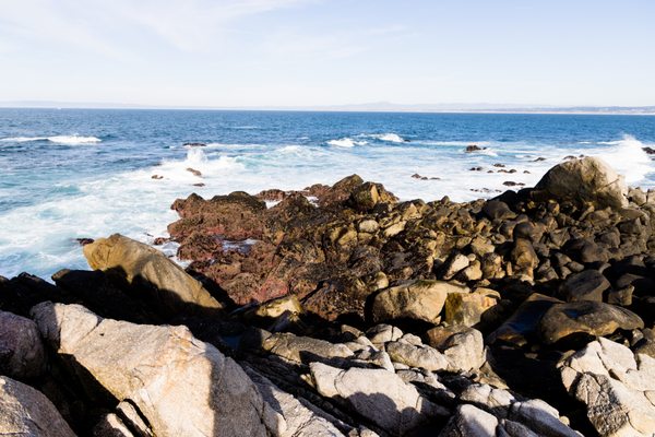 tide pools