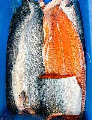 Faroe Islands Scottish Salmon