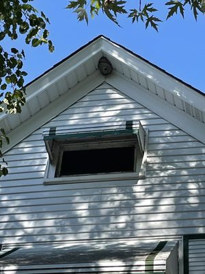 I had a bee/hornets nest at the peek of my roof.