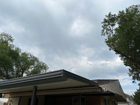 This shows both trees in relation to the roof.