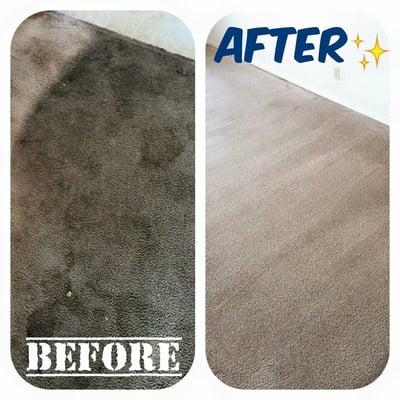 The owner of this property was frantic, and needed  us to save this carpet, he had his doubts, but we knew we could save the day. Success!