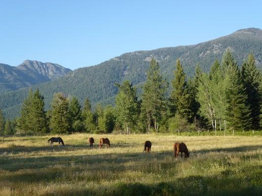 Backdrop of the gorgeous Mission Mountains