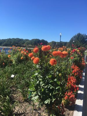 Beautiful landscaping around the park.