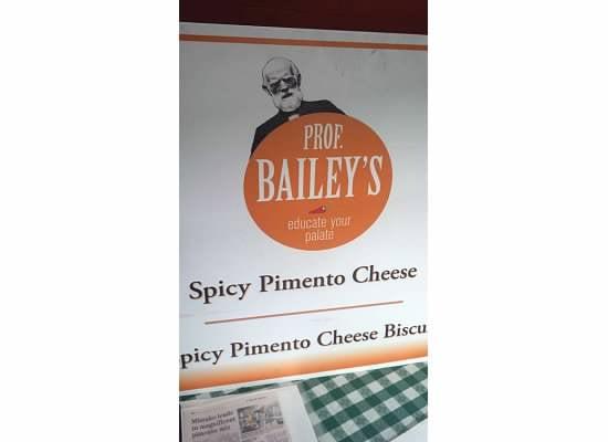 Professor Bailey's