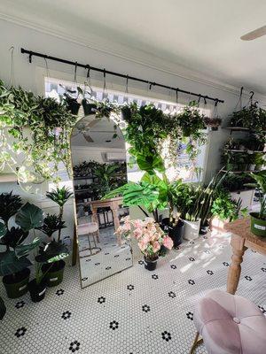 Flora Plant Boutique hanging plants