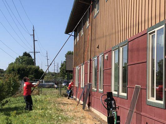 Fish Window Cleaning