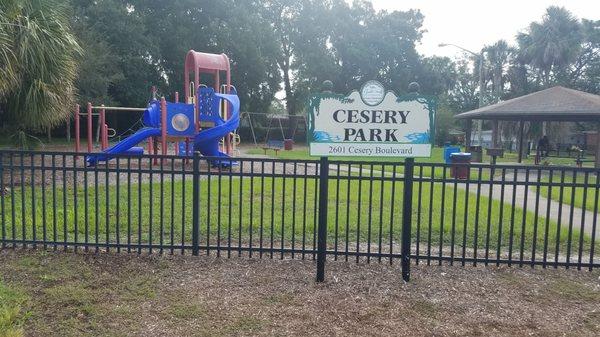 Cesery Park