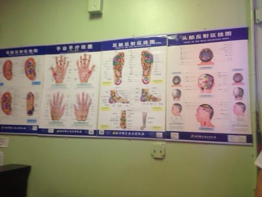 Reflexology Poster