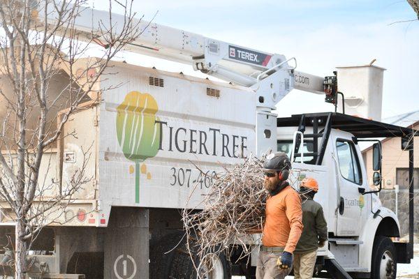 No job is too small for our arborist, Kyle!