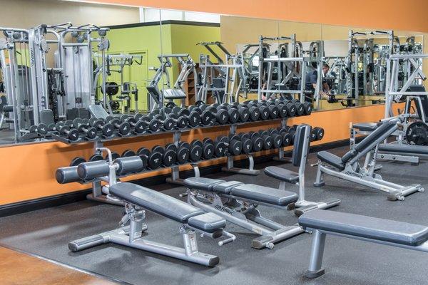 We offer a full array of weights and benches with plates up to 45lb and dumbbells to 100lb for a full body workout at any level!