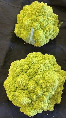 Romanesco Cauliflower