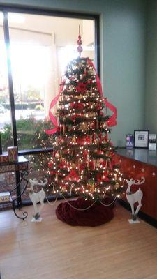 This is the tree at my PT office.. Beautiful