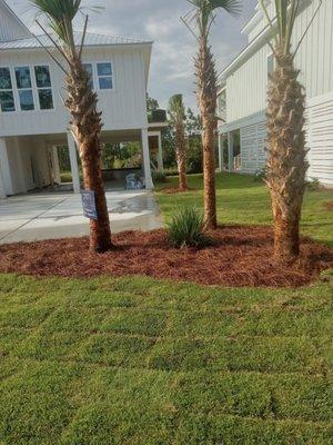 Landscape bedding also plant installation