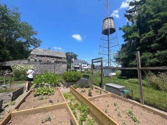 Native crop garden