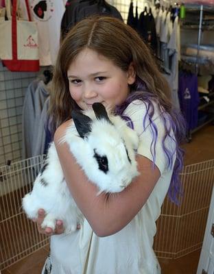 A recent house bunny adoption.