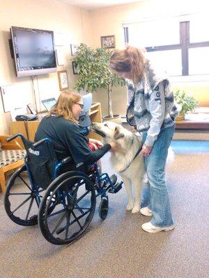 Therapy Dog Team Class