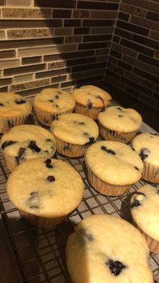 Blueberry yogurt muffins