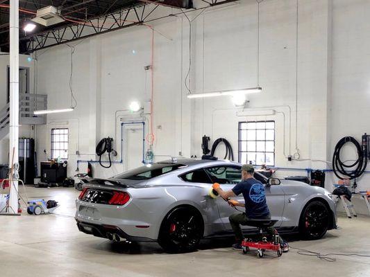 Ford Mustang GT500 in for light polish and full ceramic treatment.