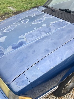 Clear coat peeled from hood