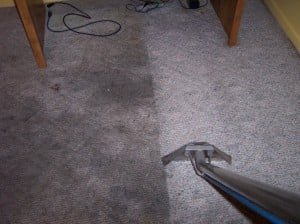 carpet repair water damage removal