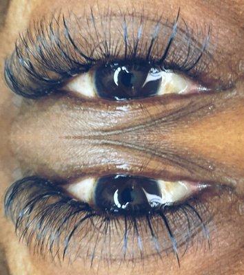 6D Wispy Lash Set