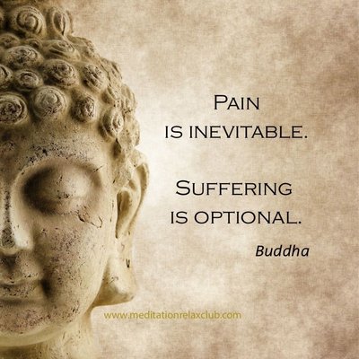 Attachment of any kind leads to emotional pain and suffering. Pain is inevitable, however, suffering is optional.