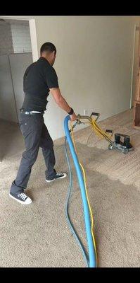 Carpet cleaning