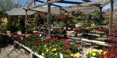 Suncliff Greenhouses & Nursery Inc