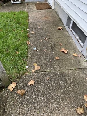 My property was clean before the landscaping staff, this is now the 4th time.