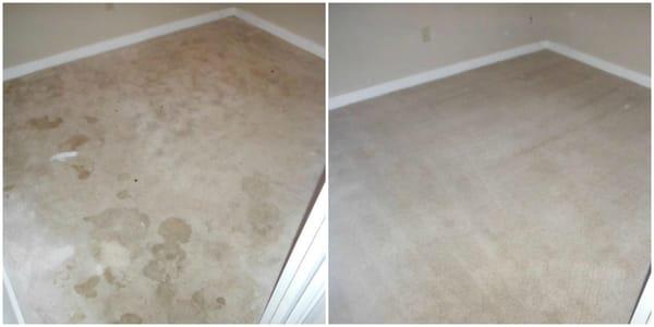 Property Management company called us to clean this house and get it ready for a new tenant in St. Augustine Beach