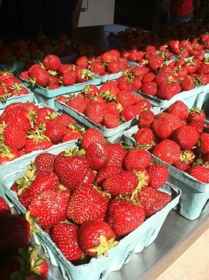 Local and fresh strawberries