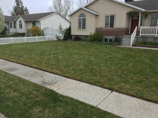 Mowed Lawn