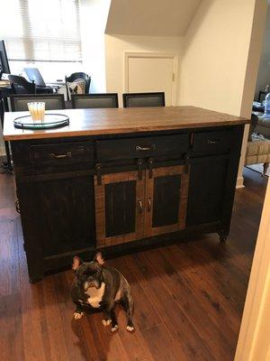 Dining Room Island  - nice amount of storage space!(Scarlett is not camera shy)