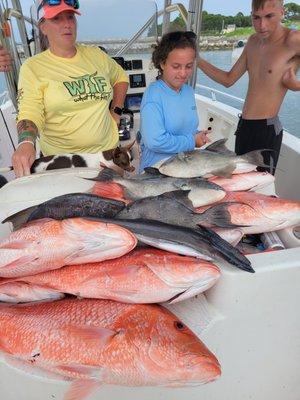 Red Snapper Plus Cobia and Triggerfish