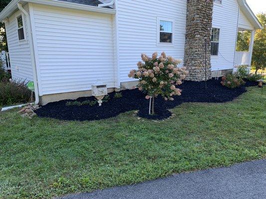 Mulch installation