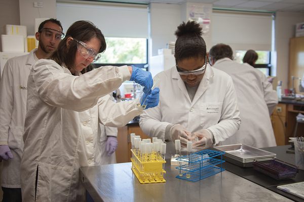 Remodeled science labs