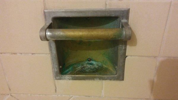 Would you put a bar of soap in here? mold in grout as well