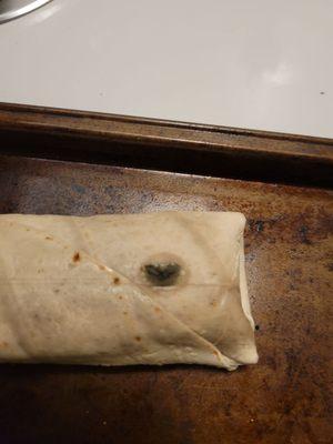 Moldy burrito