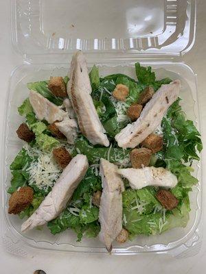 Grilled Chicken Caesar Salad