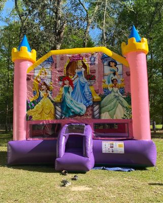 Perfect for your little princess! Licensed Disney Bounce house! Has glitter on the pink vinyl, sure to wow your princess!